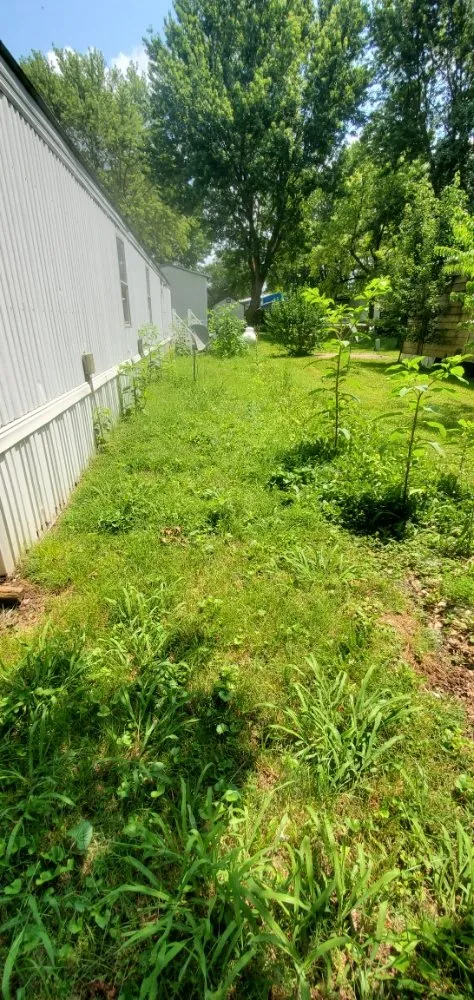 Expert yard maintenance in Springfield, MO - Smokin Mowhawk Lawn Care