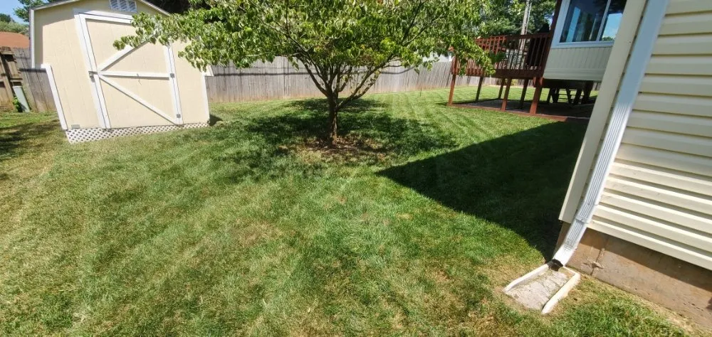 Trusted garden landscaping for year-round maintenance across Springfield, MO - Smokin Mowhawk Lawn Care