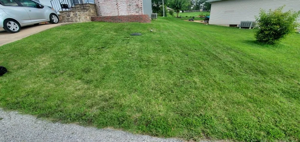 Expert yard cleanup service in Springfield, MO by Smokin Mowhawk Lawn Care