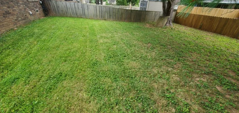 Local yard cleanup service for homes across Springfield, MO - Smokin Mowhawk Lawn Care