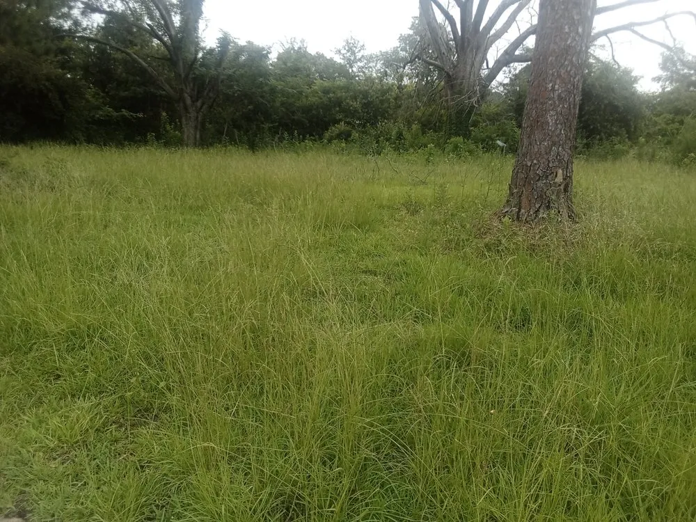 Expert landscape installation with custom design across Jackson, MS - Smoking Joe's Clean-Up Service