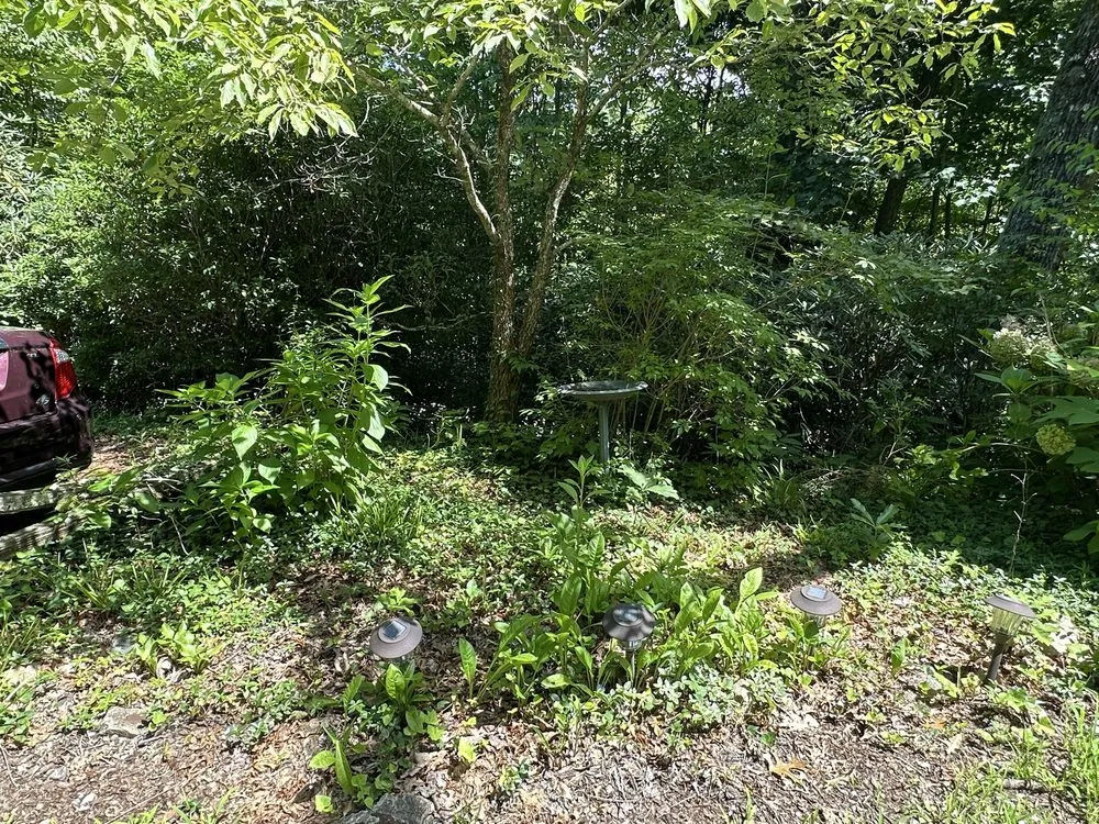 Local residential landscaping in Clayton, GA - Smoky Mountain Landscape & Lawn Care