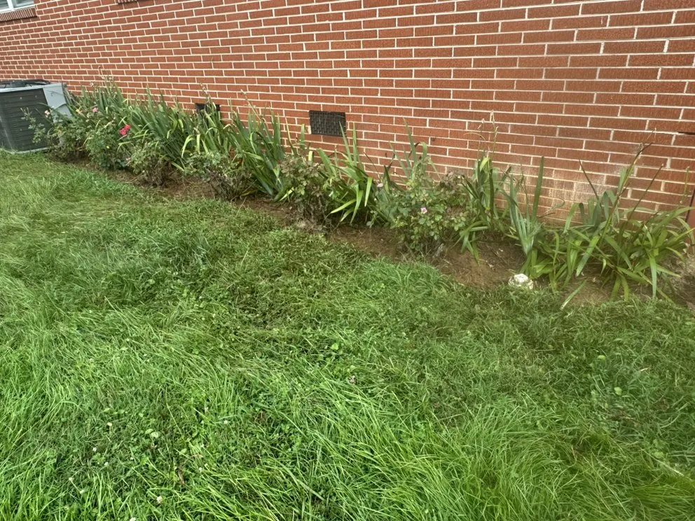 Reliable outdoor landscaping for homes in Clayton, GA by Smoky Mountain Landscape & Lawn Care