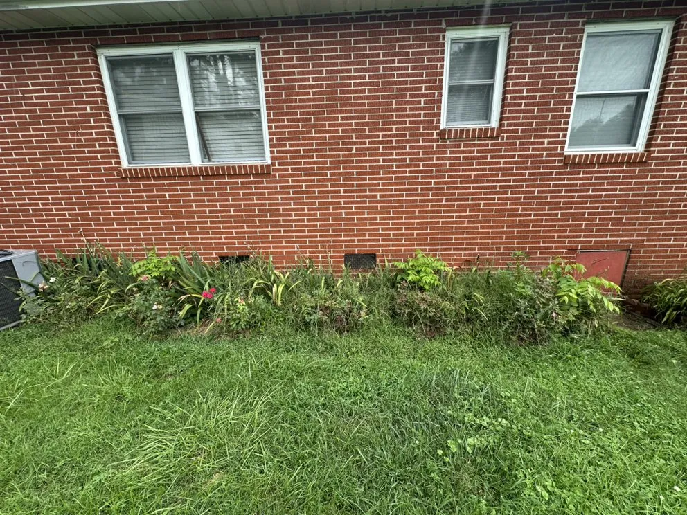 Professional yard cleanup service in Clayton, GA - Smoky Mountain Landscape & Lawn Care