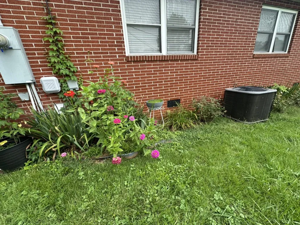 Expert lawn care service in Clayton, GA by Smoky Mountain Landscape & Lawn Care