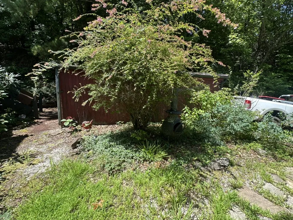 Trusted yard cleanup service in Clayton, GA - Smoky Mountain Landscape & Lawn Care