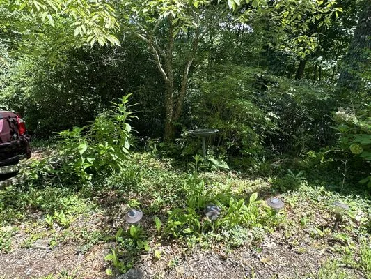 Smoky Mountain Landscape & Lawn Care Logo