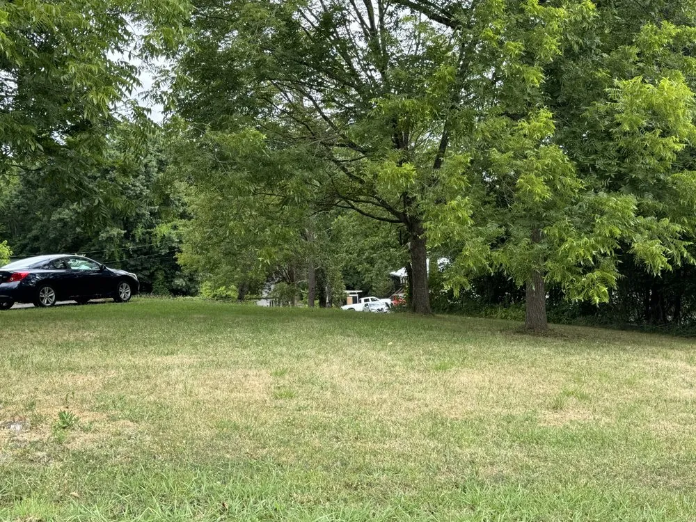 Custom yard cleanup service in Sevierville, TN by Smoky’s Landscaping