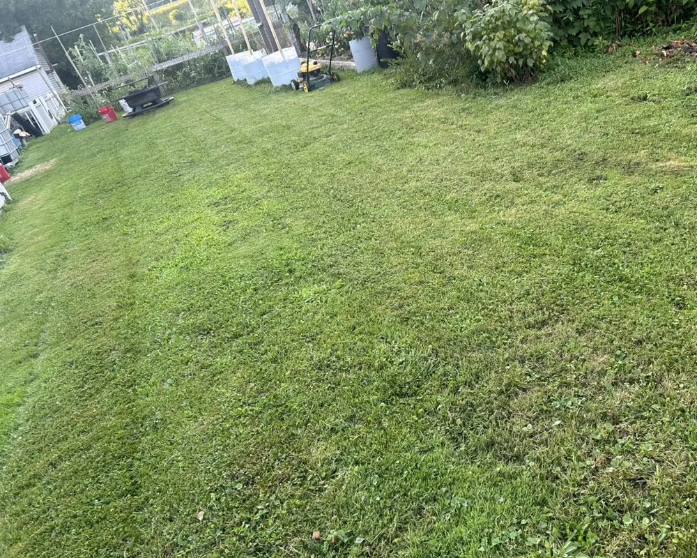 Affordable lawn mowing service for homes across Utica, NY - SMON Construction