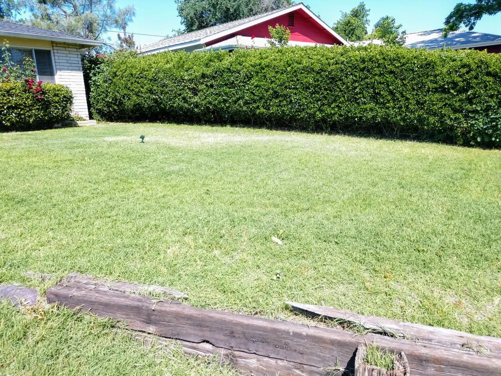 Reliable landscaping services in Redding, CA - Smoochie Poochie Lawncare - Pet Friendly Landscaping