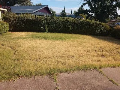 Expert lawn mowing service experts serving Redding, CA - Smoochie Poochie Lawncare - Pet Friendly Landscaping