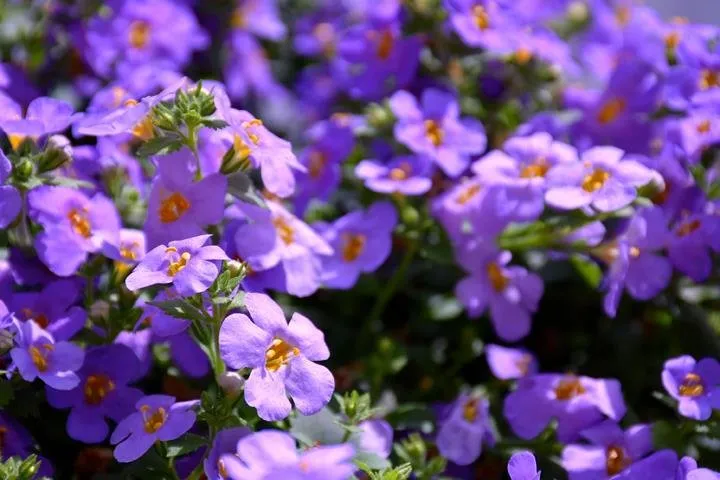 Local garden landscaping in Muncie, IN by Smoot Landscaping