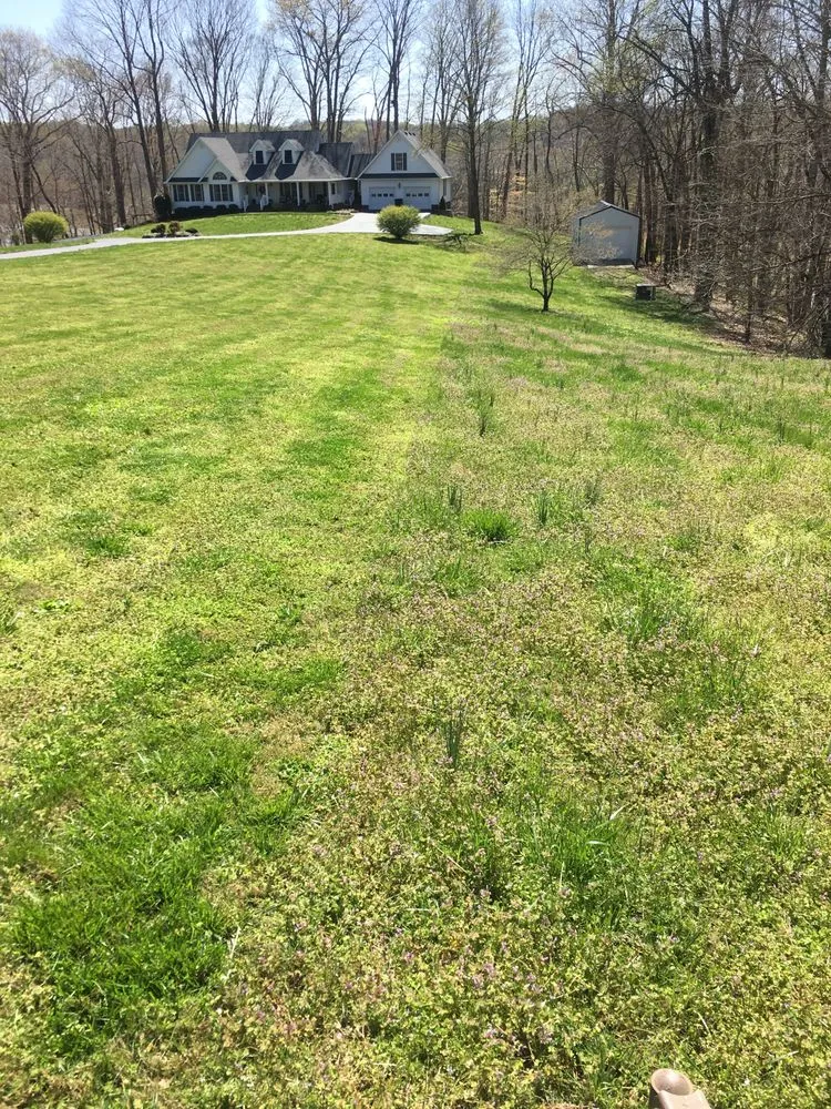 Reliable lawn mowing service for homes across Glasgow, KY - Smooth Cut Lawn Care