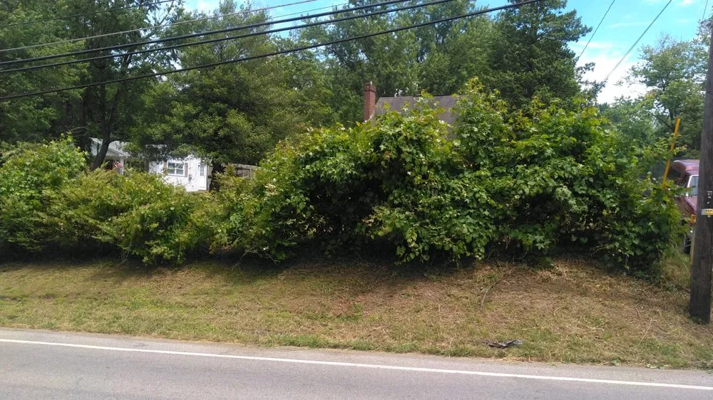 Affordable landscape design in Rising Sun, MD - Smooth Cut Property Services