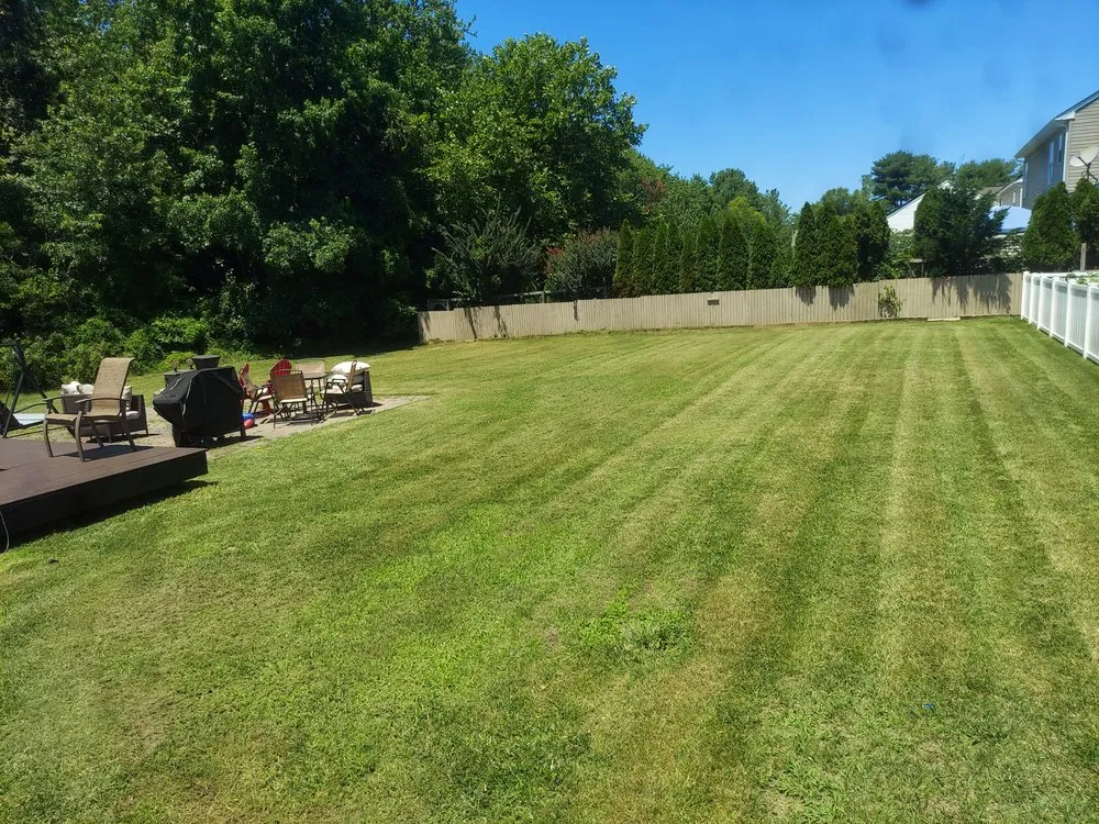Affordable landscaping services for year-round maintenance across Delmar, MD - Smooth Cuts Lawn Scaping
