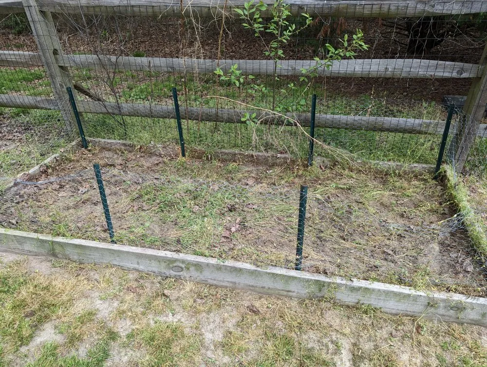 Local outdoor landscaping for year-round maintenance in Delmar, MD by Smooth Cuts Lawn Scaping