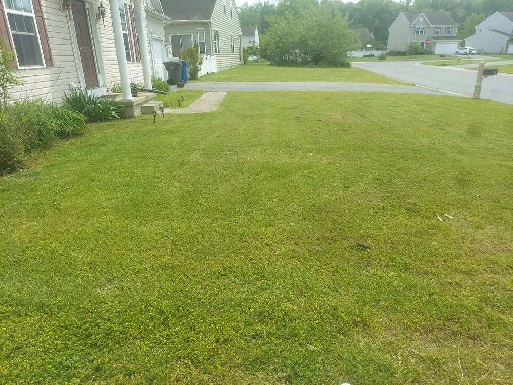Custom lawn care service in Delmar, MD - Smooth Cuts Lawn Scaping
