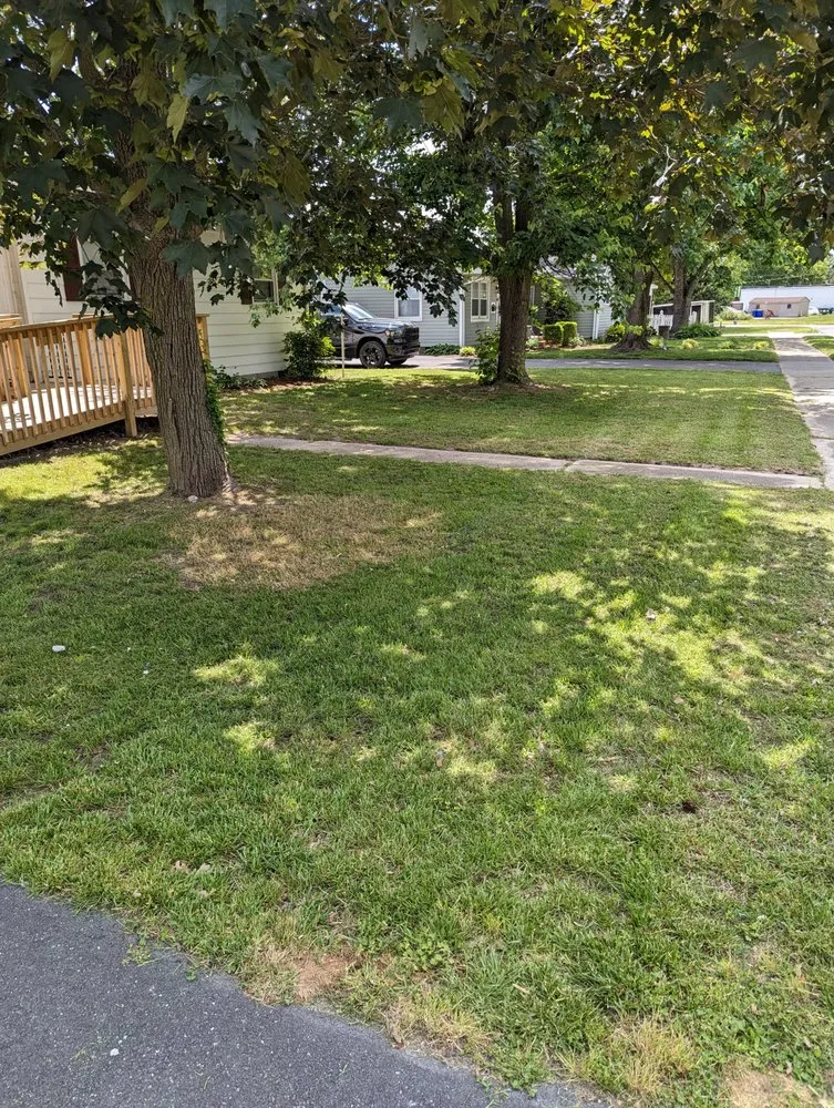 Expert landscaping services in Delmar, MD by Smooth Cuts Lawn Scaping