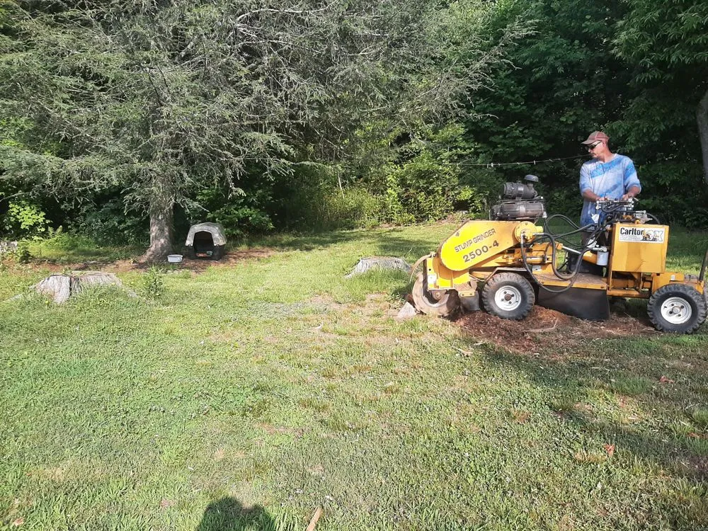 Custom yard cleanup service experts serving Candler, NC - Smooth Cuts Stump Grinding