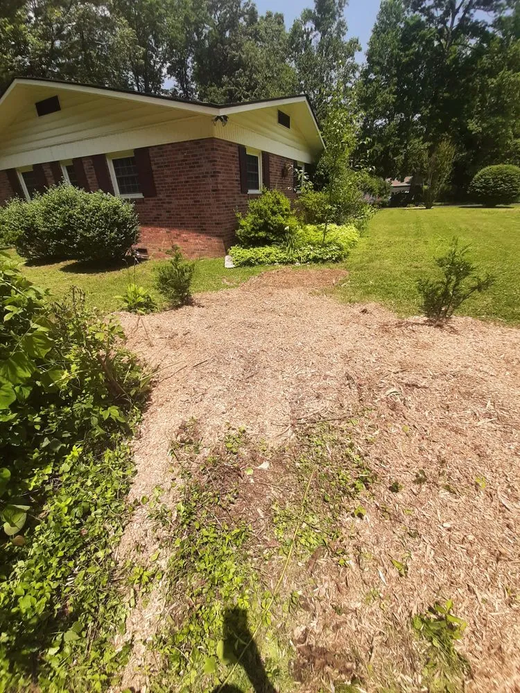 Expert outdoor landscaping in Candler, NC - Smooth Cuts Stump Grinding