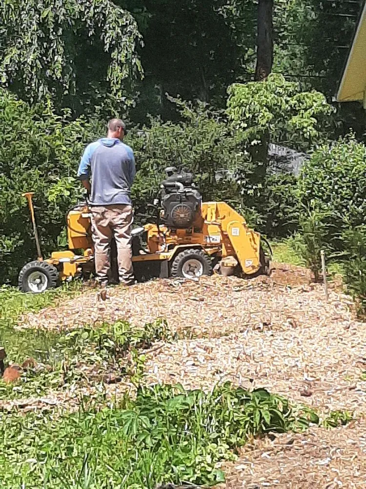 Expert outdoor landscaping experts serving Candler, NC - Smooth Cuts Stump Grinding