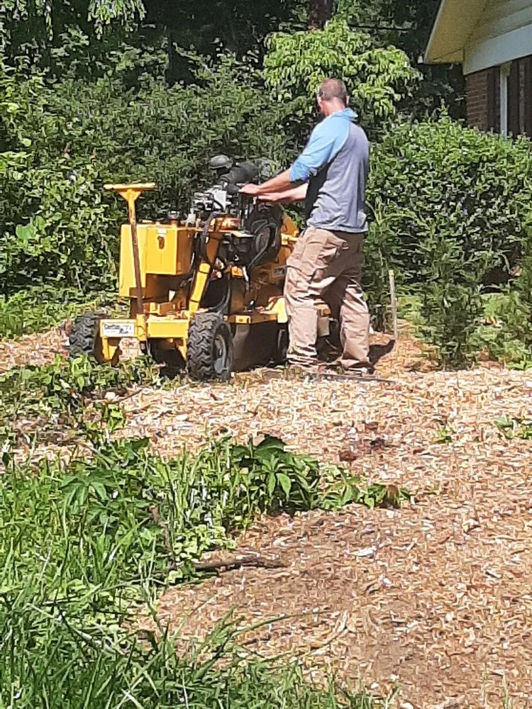 Custom landscape design for homes across Candler, NC - Smooth Cuts Stump Grinding