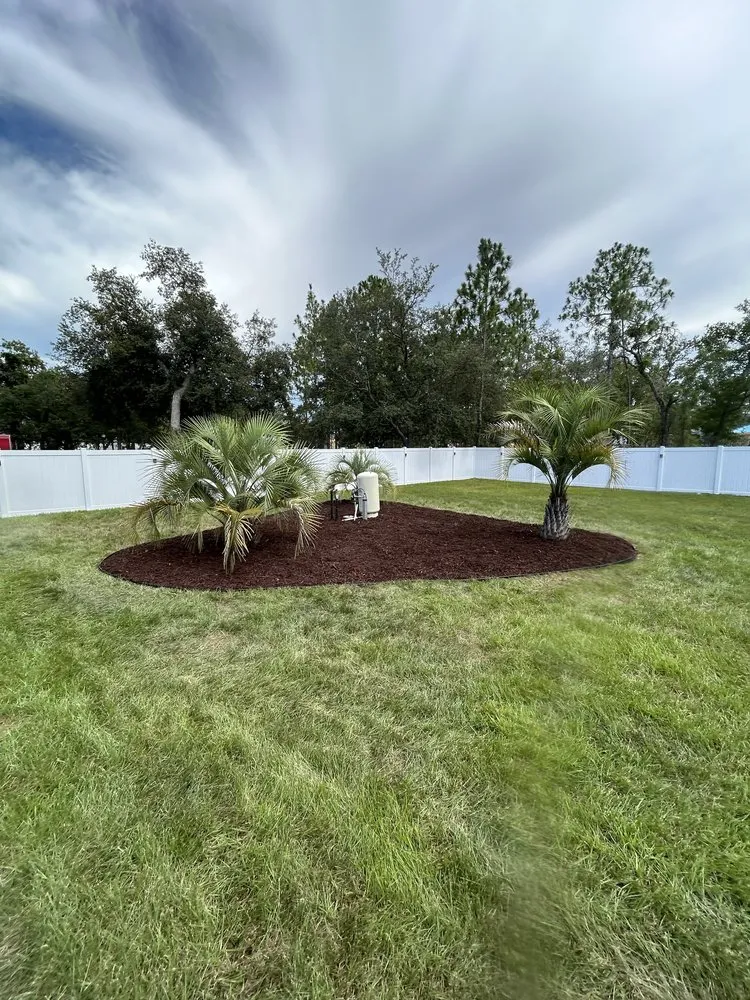 Affordable landscaping services for beautiful yards in Spring Hill, FL by Smooth Edge