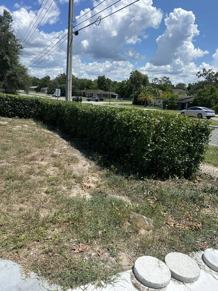 Expert garden landscaping in Spring Hill, FL - Smooth Edge