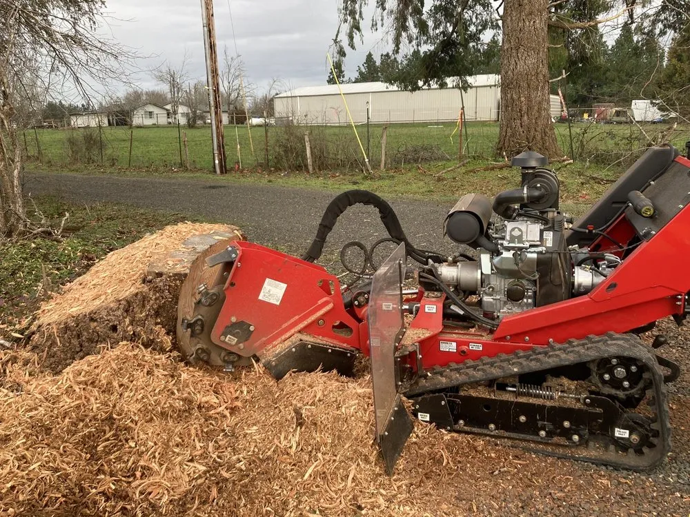 Custom lawn mowing service for year-round maintenance across Albany, OR - Smooth Green Yard Services