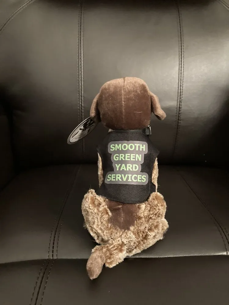 Custom yard cleanup service in Albany, OR by Smooth Green Yard Services