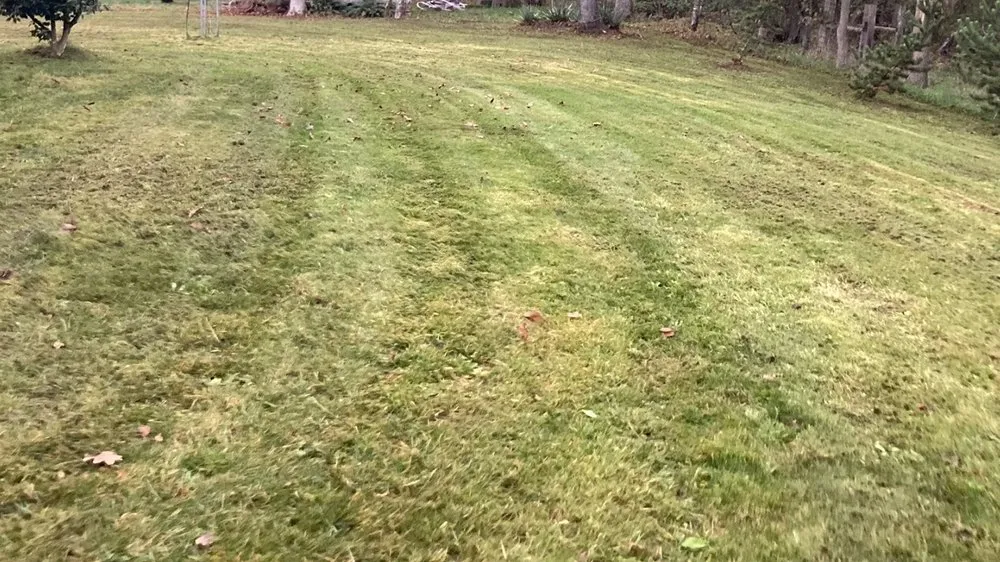 Local landscape installation for beautiful yards across Albany, OR - Smooth Green Yard Services