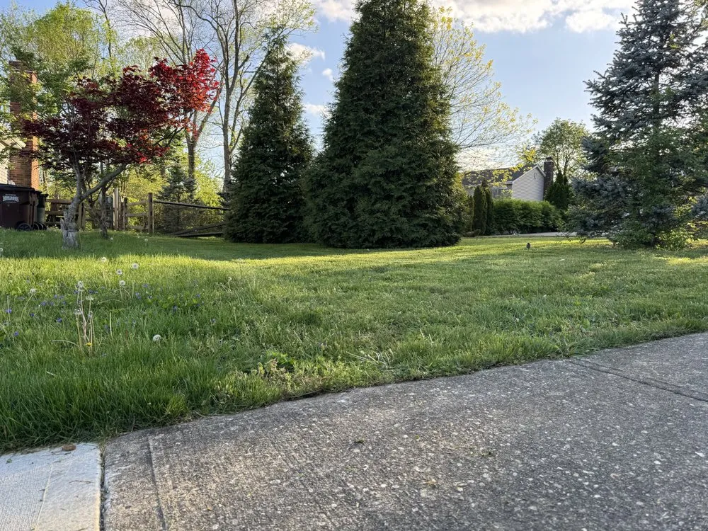 Reliable outdoor landscaping for outdoor upgrades across Cincinnati, OH - Smoothscapes Groundskeeping Services