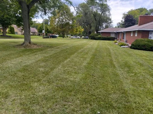 Smoove Cutz Lawn Care and Tree Removal Logo