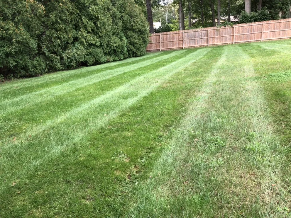 Professional lawn mowing service for outdoor upgrades in Ronkonkoma, NY by SMR Landscaping