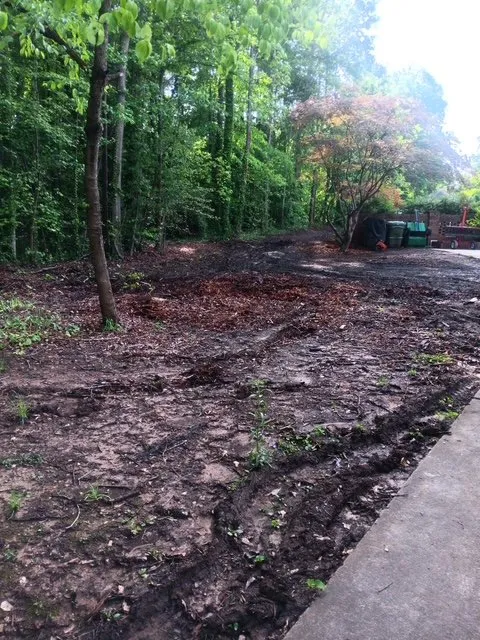 Top-rated landscape design for year-round maintenance across Jonesville, SC - SMS Dirt Work