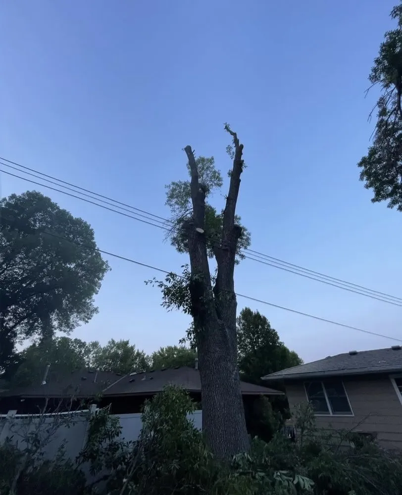 Expert landscaping services in Bloomington, MN by SMS Property Designs