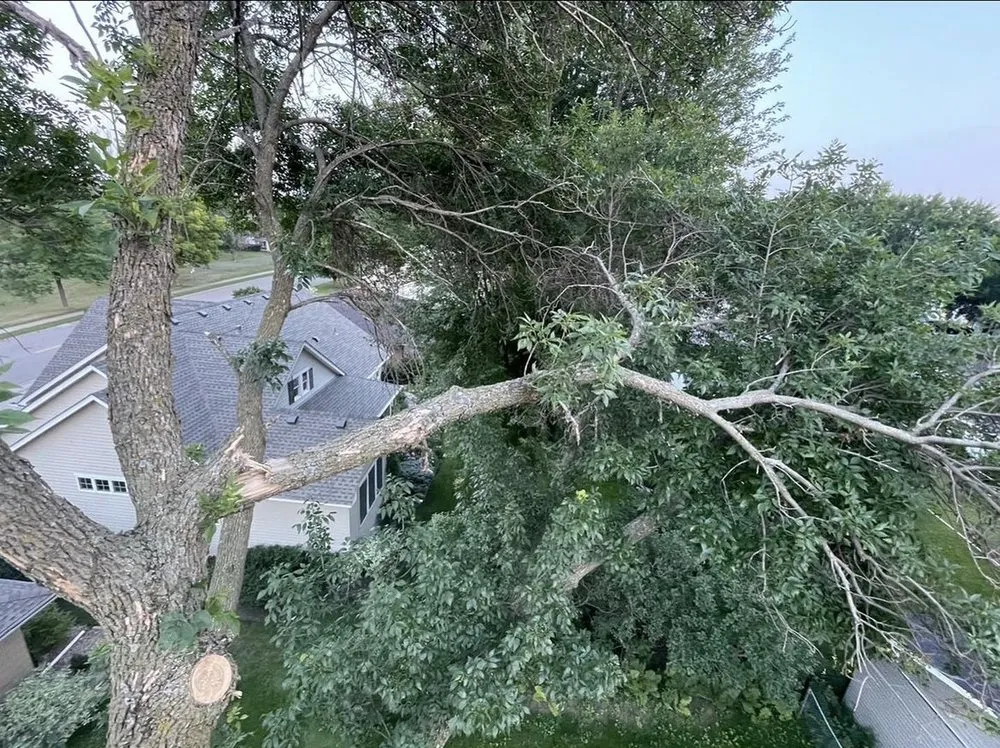 Reliable yard maintenance near you in Bloomington, MN by SMS Property Designs