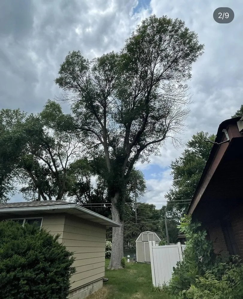 Top-rated outdoor landscaping in Bloomington, MN by SMS Property Designs