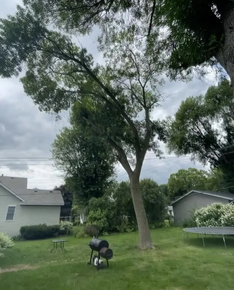 Local yard maintenance near you in Bloomington, MN by SMS Property Designs