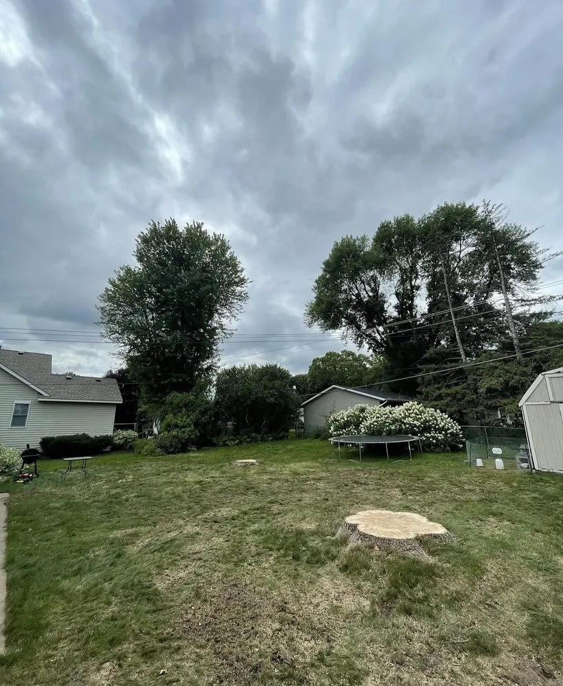 Reliable outdoor landscaping in Bloomington, MN by SMS Property Designs