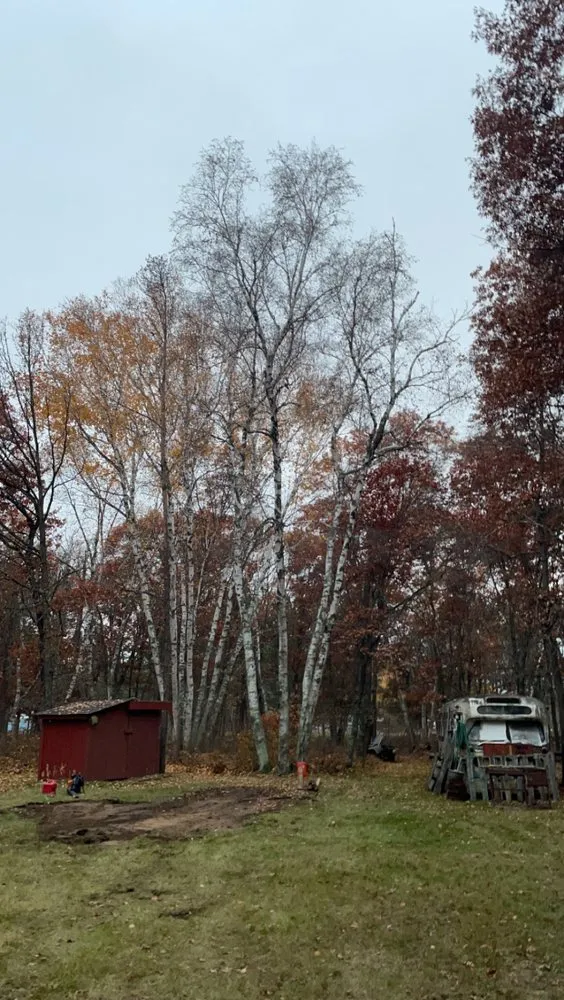 Reliable landscaping services with custom design across Bloomington, MN - SMS Property Designs