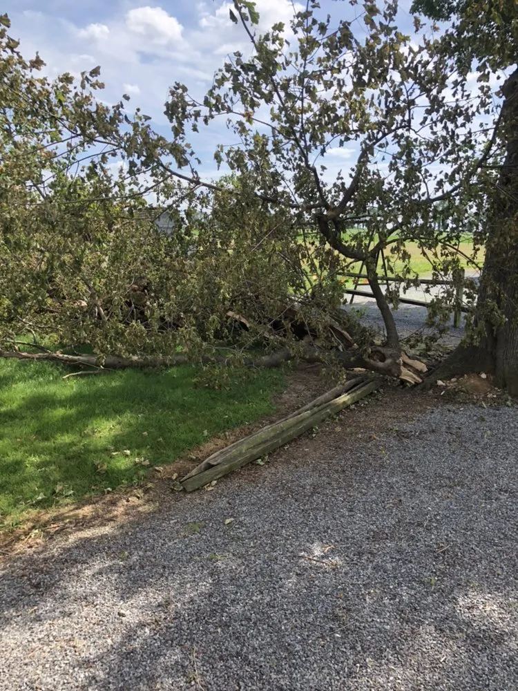 Expert landscaping services near you in Bird in Hand, PA by Smucker Farm Lawn Care