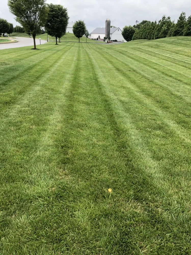 Local outdoor landscaping experts serving Bird in Hand, PA - Smucker Farm Lawn Care