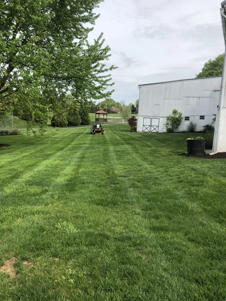 Local yard cleanup service in Bird in Hand, PA by Smucker Farm Lawn Care