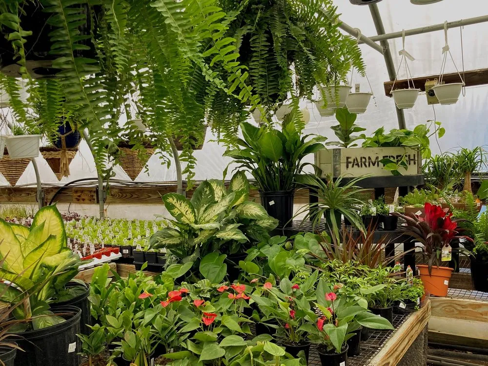 Reliable landscape design in Millersburg, PA by Smucker Gardens