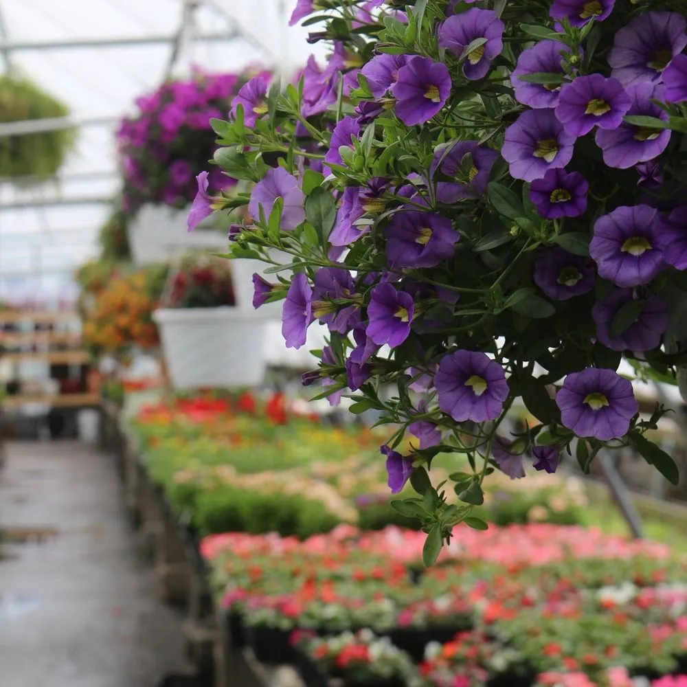 Reliable lawn care service with custom design in Millersburg, PA by Smucker Gardens