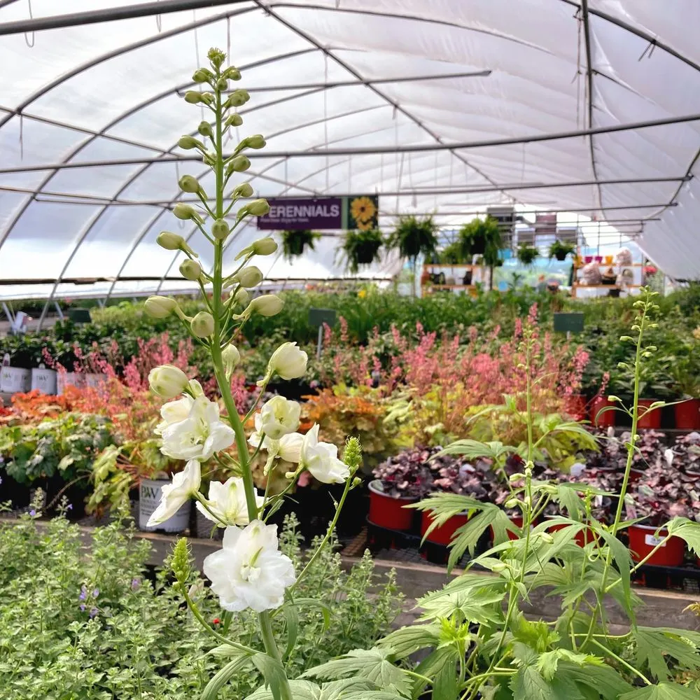 Affordable landscape installation in Millersburg, PA - Smucker Gardens