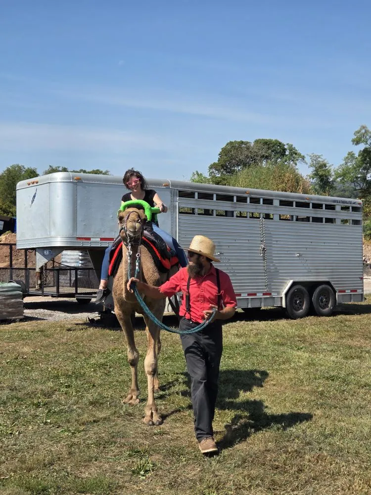 Reliable lawn care service with custom design in Millersburg, PA by Smucker Gardens