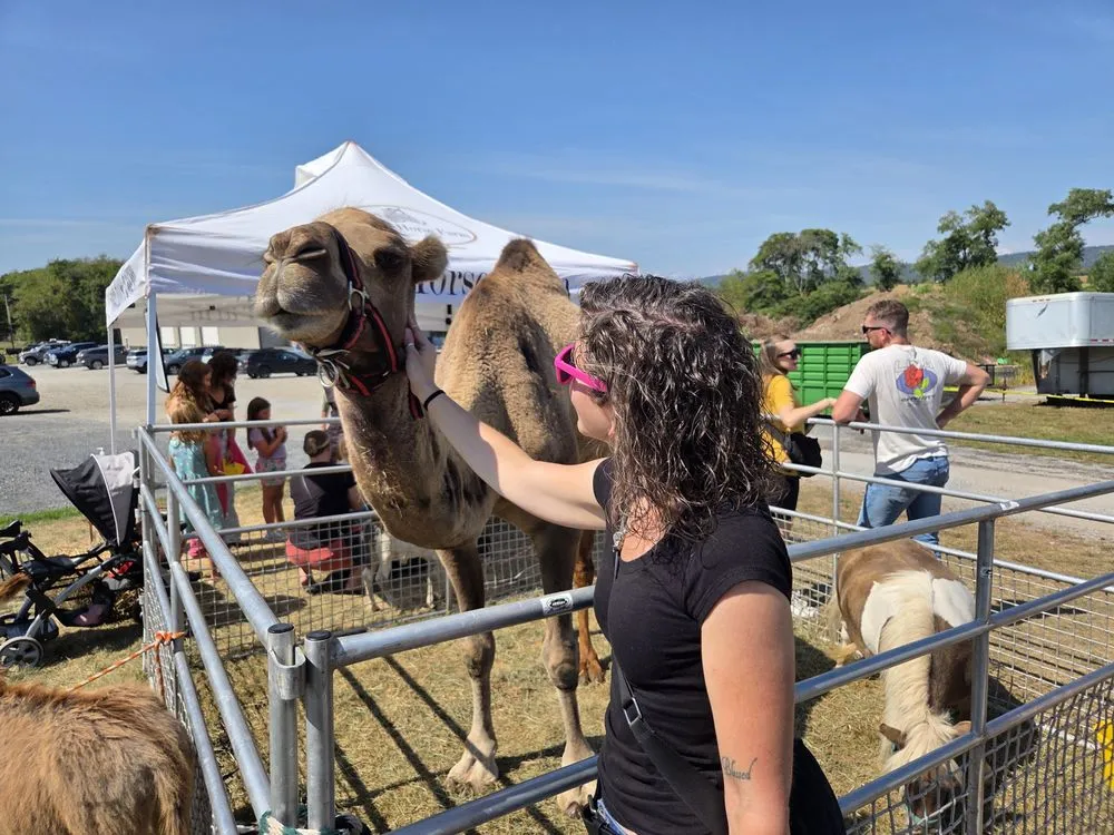 Reliable outdoor landscaping in Millersburg, PA by Smucker Gardens