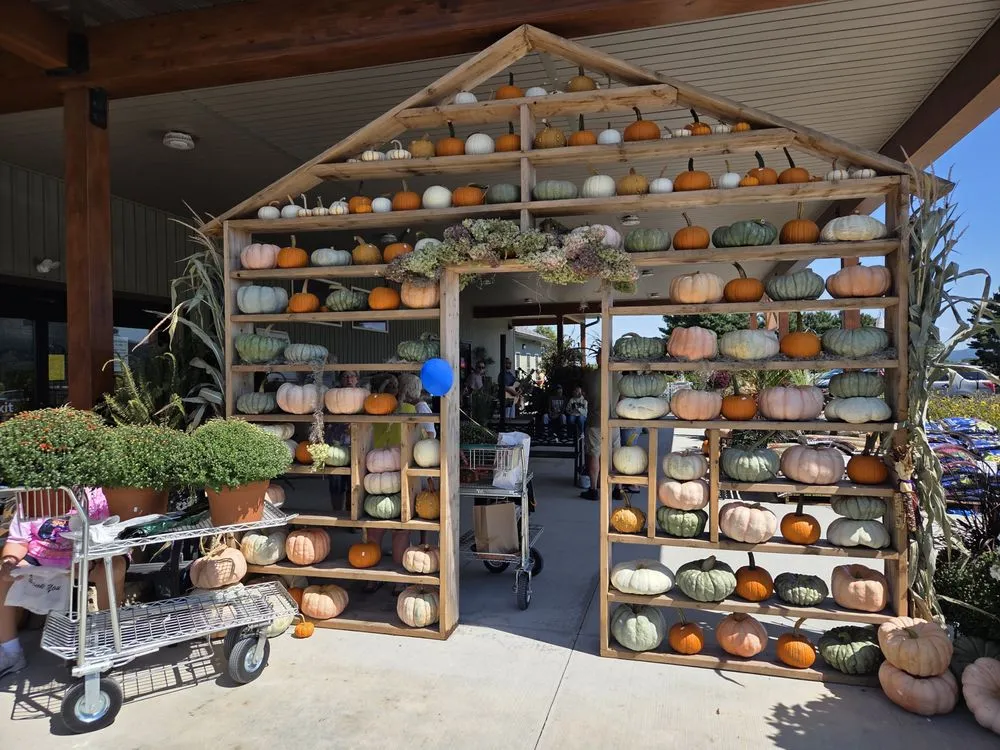 Affordable residential landscaping in Millersburg, PA by Smucker Gardens